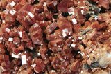 Deep Red Vanadinite Crystals on Barite - Morocco #231838-4